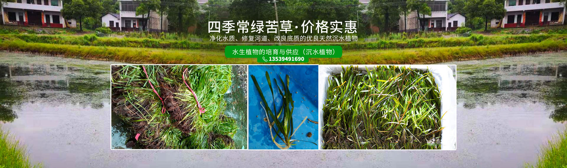 湖南澤宏生態科技有限公司_長沙水環境流域生態治理|長沙水污染防治|長沙水體生態修復 湖南澤宏生態科技有限公司_長沙水環境流域生態治理|長沙水污染防治|長沙水體生態修復